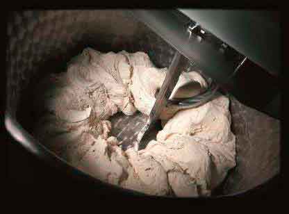 Місильний орган